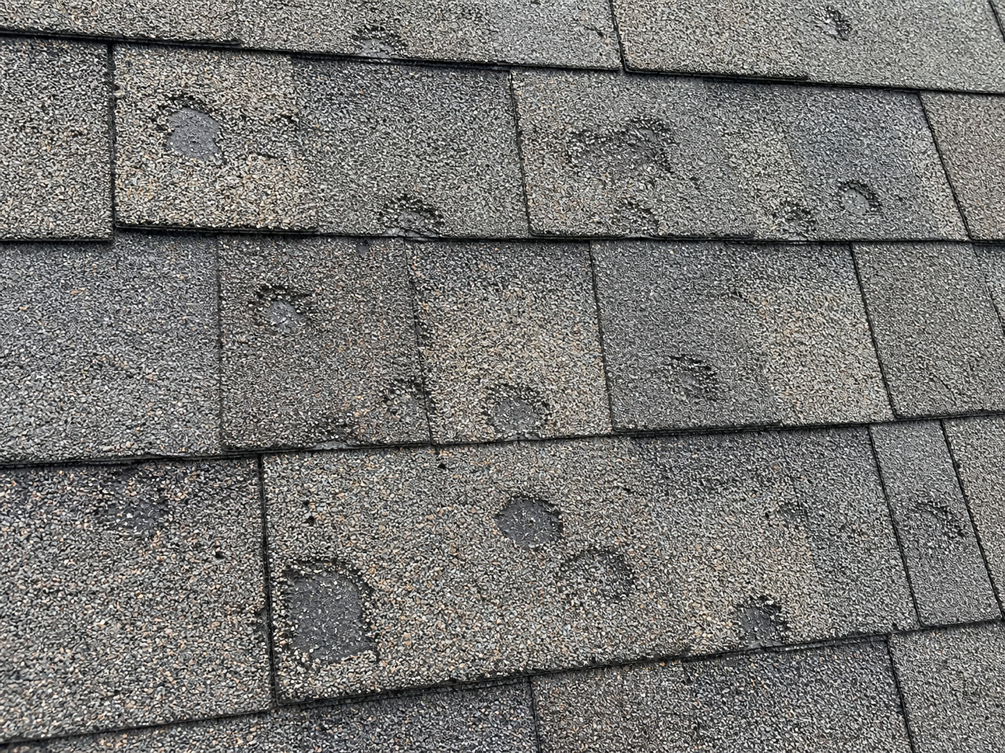 Close-up of hail-damaged asphalt shingles showing impact bruises